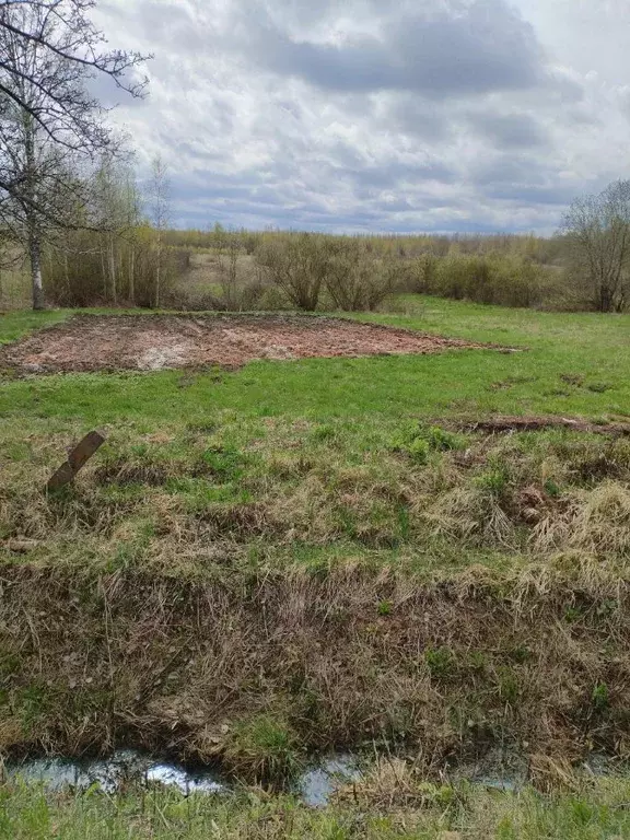 Участок в Новгородская область, Старорусский район, Великосельское ... - Фото 2