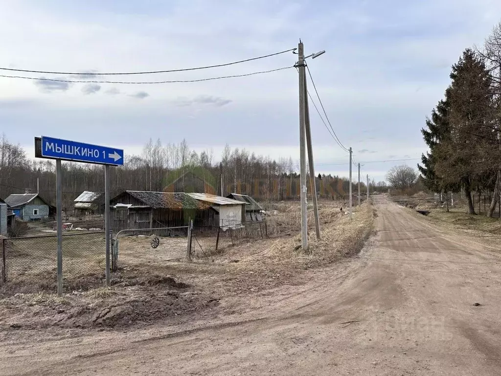 Участок в Ленинградская область, Кингисеппский район, Нежновское ... - Фото 0