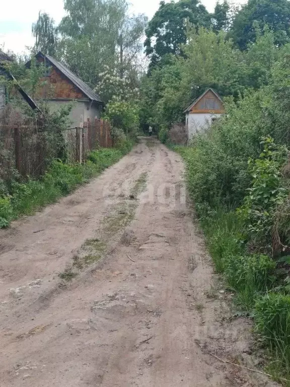 Участок в Воронежская область, Воронеж Путь Мичурина ДНТ, ул. Грушовая ... - Фото 1