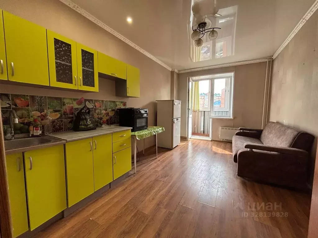 Студия Хакасия, Абакан просп. Дружбы Народов, 39 (24.0 м) - Фото 1