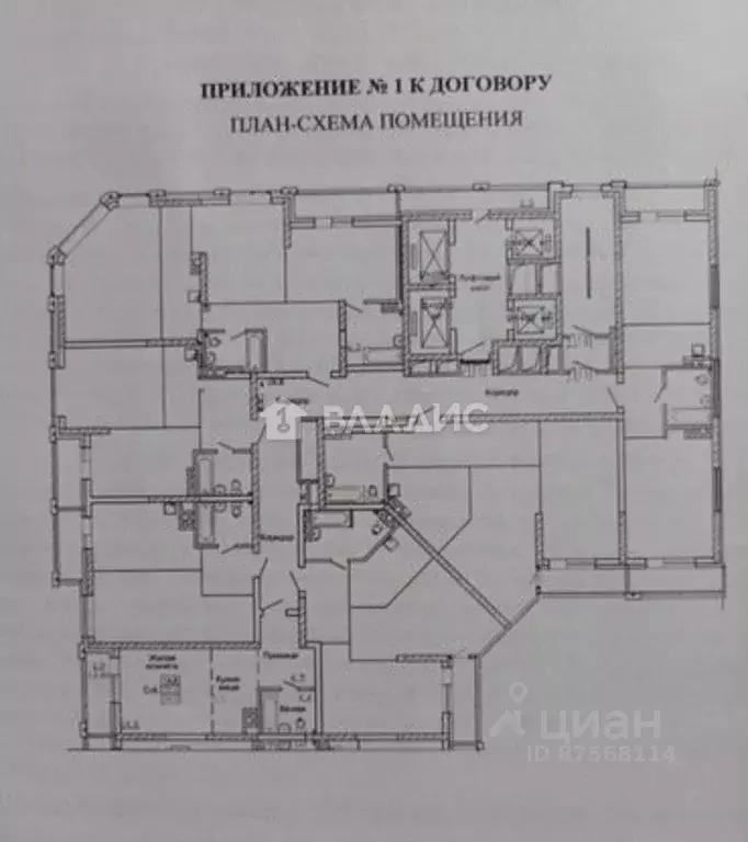 Студия Новосибирская область, Новосибирск ул. Фрунзе, с1 (34.2 м) - Фото 1