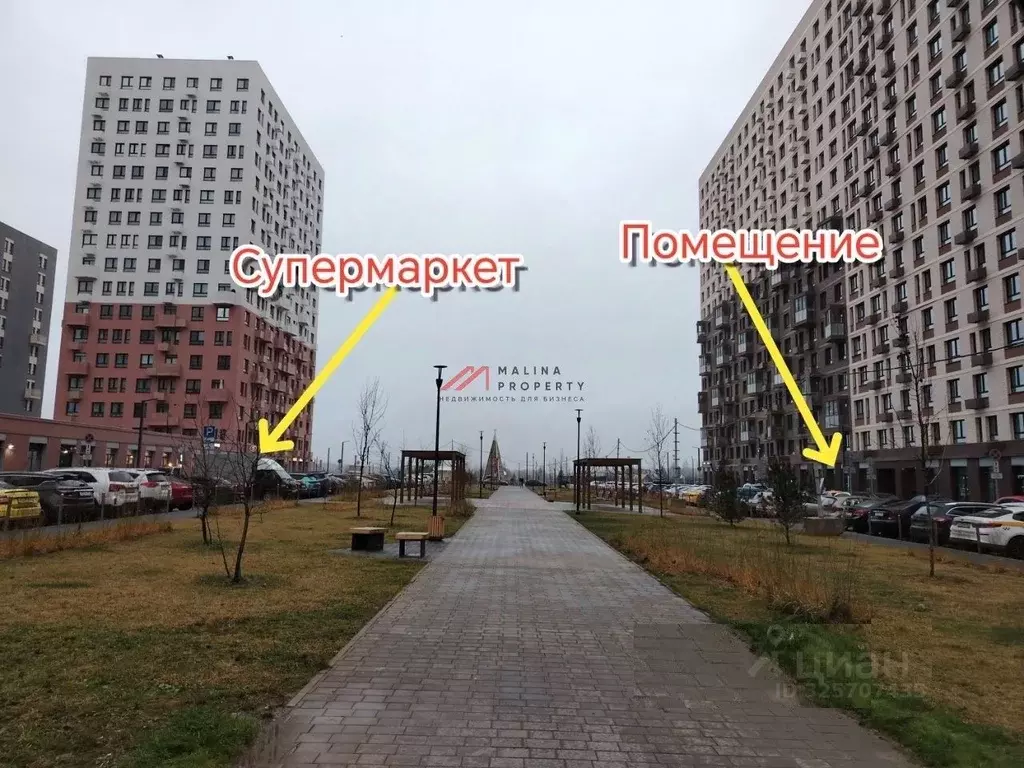 Торговая площадь в Московская область, Ленинский городской округ, д. ... - Фото 1