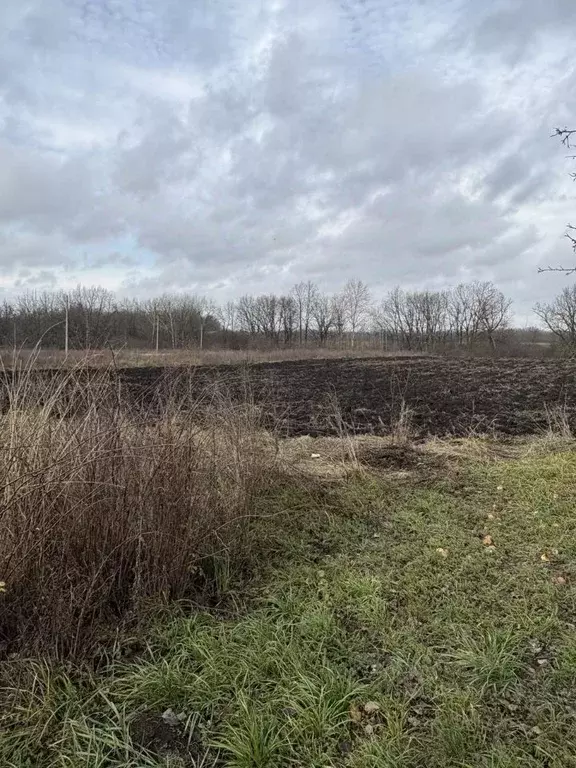 Участок в Белгородская область, Ивнянский район, Покровское с/пос, с. ... - Фото 2
