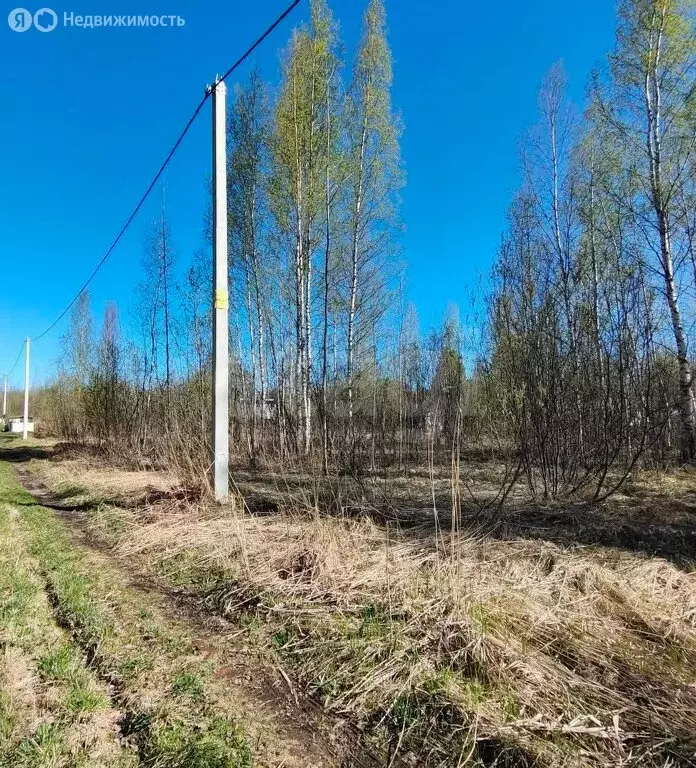 Участок в Вологда, садоводческое товарищество Медик (6.21 м) - Фото 0