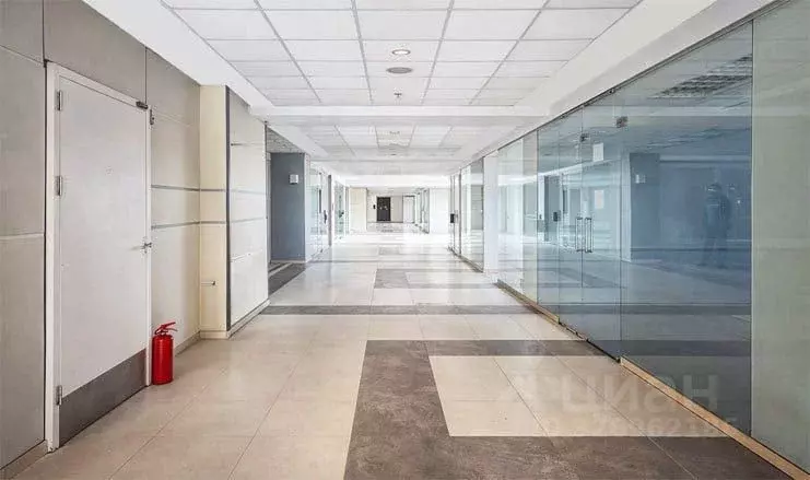 Торговая площадь в Московская область, Орехово-Зуево ул. Ленина, 85 ... - Фото 2