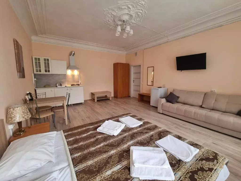 Комната Санкт-Петербург просп. Большой Петроградской стороны, 45 - Фото 2