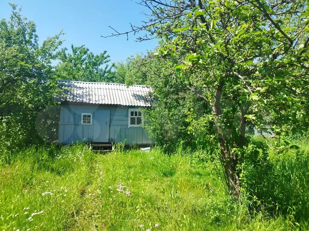 Купить Дачу В Брянском Районе Недорого