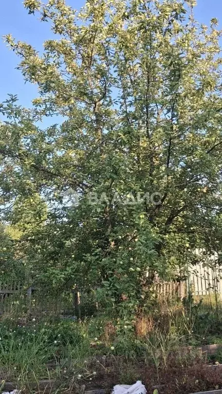 Участок в Нижегородская область, Нижний Новгород ул. Петряевская (5.36 ... - Фото 2