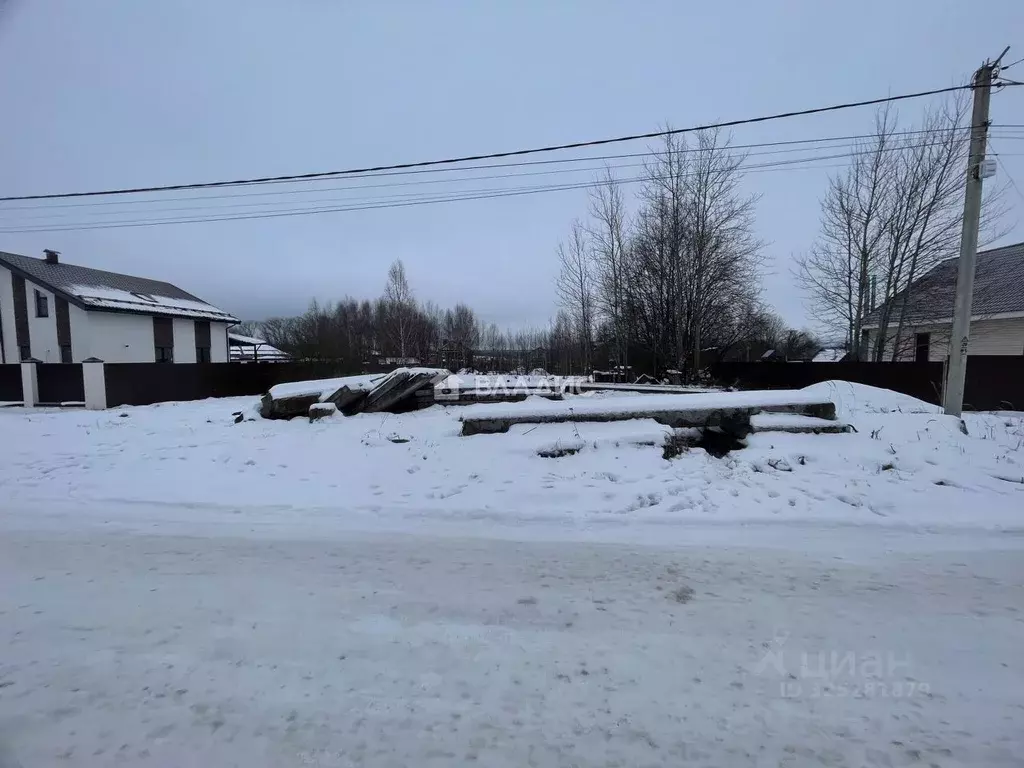 Участок в Нижегородская область, Богородский муниципальный округ, с. ... - Фото 1
