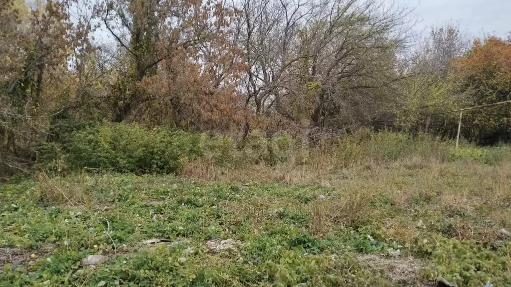 Участок в Саратовская область, Саратов Кумысная поляна СНТ, 23 (7.0 ... - Фото 0