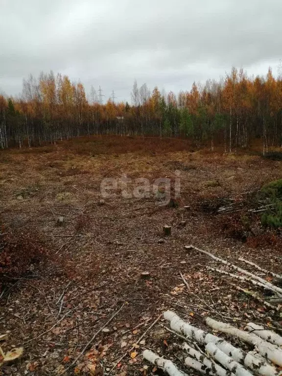 Участок в Ханты-Мансийский АО, Ханты-Мансийск Виктория СОНТ,  (7.1 ... - Фото 1