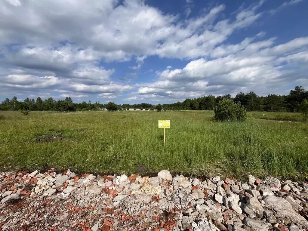 Участок в Московская область, Богородский городской округ, Следово кп ... - Фото 1