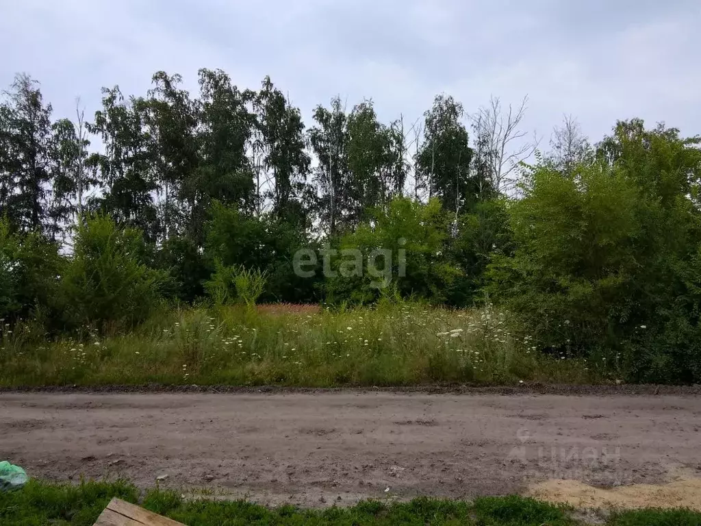 Участок в Воронежская область, Семилукский район, с. Девица Луговая ... - Фото 0