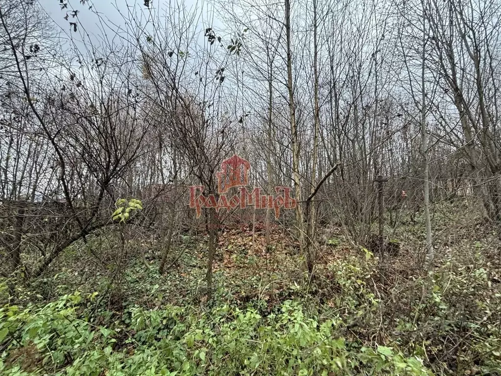 Участок в Владимирская область, Александровский муниципальный округ, ... - Фото 2