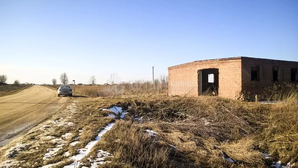 Участок в Брянская область, Выгоничский район, Орменское с/пос, д. ... - Фото 1