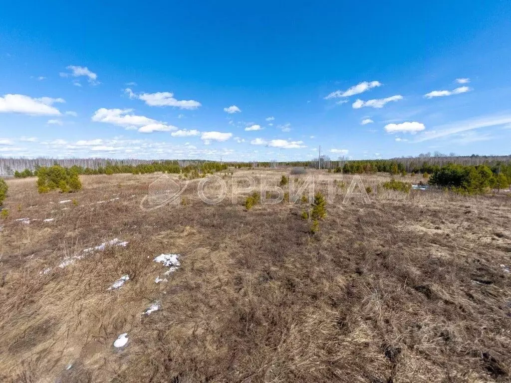 Участок в Тюменская область, Нижнетавдинский муниципальный округ, с. ... - Фото 1