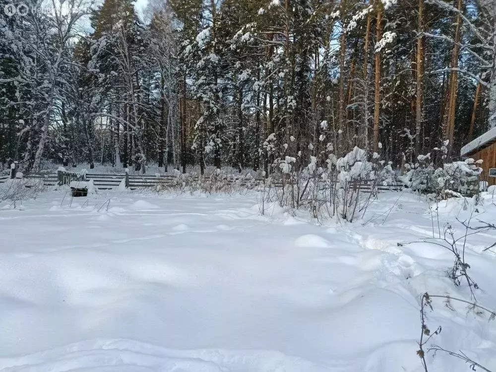 Дом в село Боровлянка, Пролетарская улица, 8 (38 м) - Фото 1