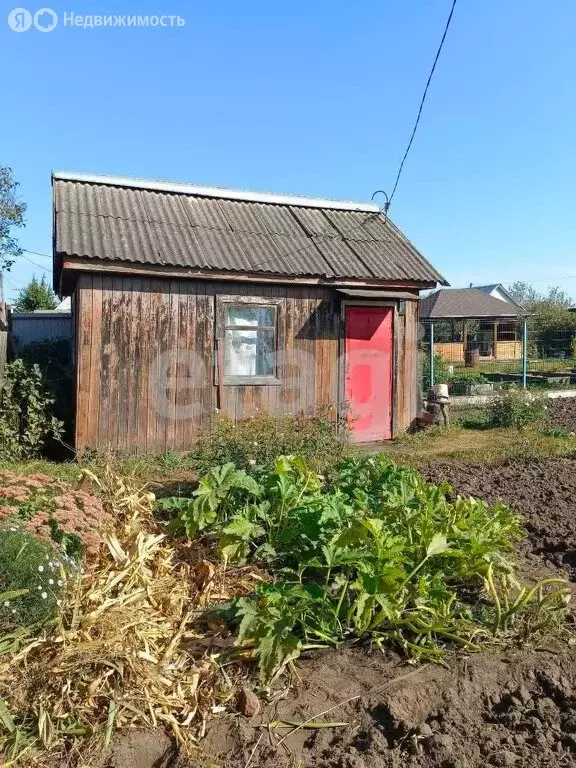 Дом в Брянск, СО Дружба, 2 (20 м) - Фото 0