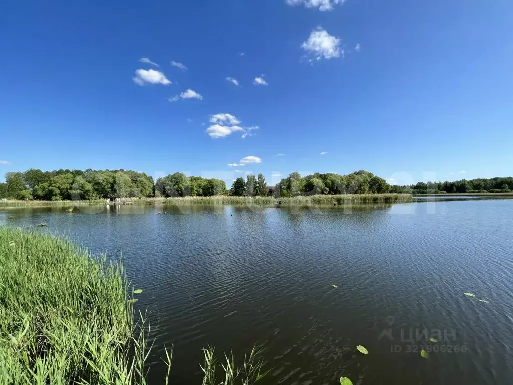 Участок в Липецкая область, Грязинский район, Фащевский сельсовет, с. ... - Фото 1