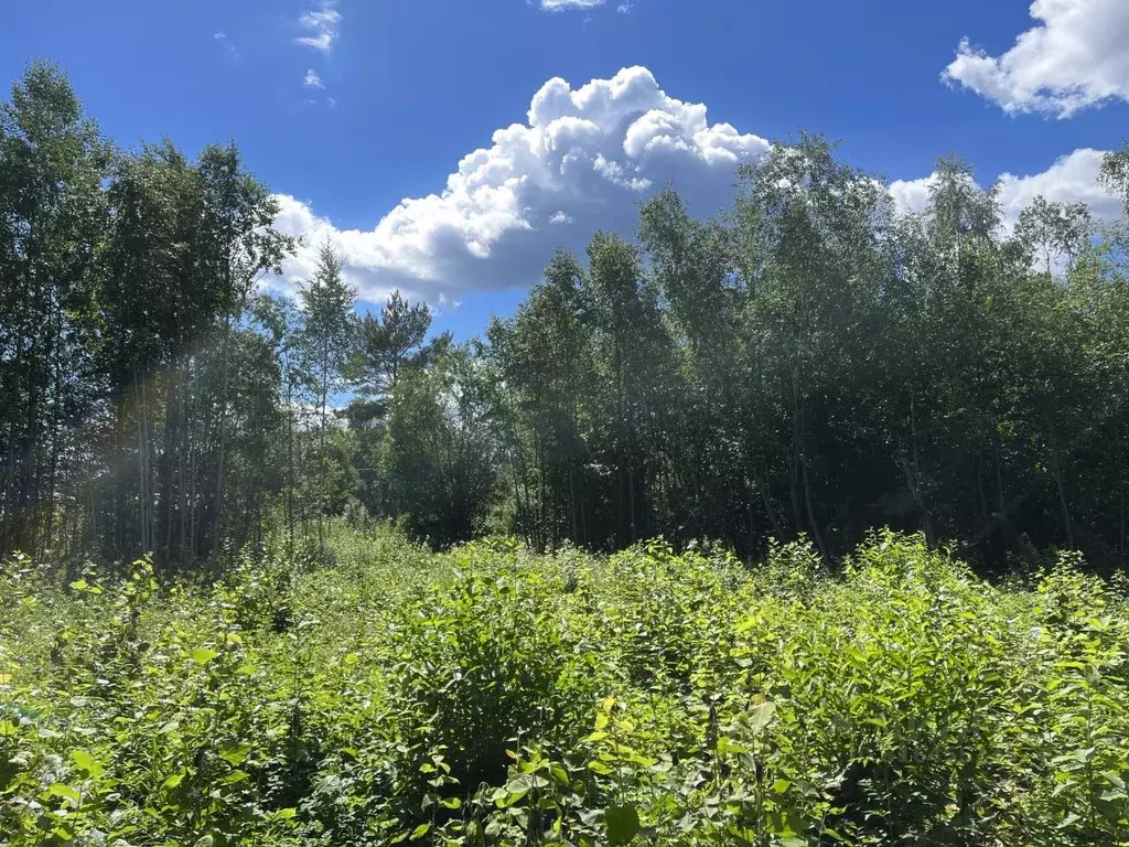 Участок в Карелия, Прионежский район, Заозерское с/пос, д. Ялгуба ул. ... - Фото 1