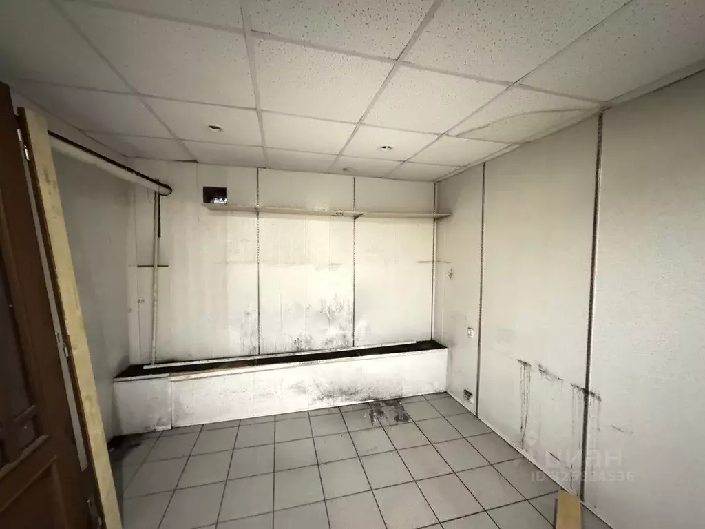 Помещение свободного назначения в Московская область, Руза Ульяновская ... - Фото 2