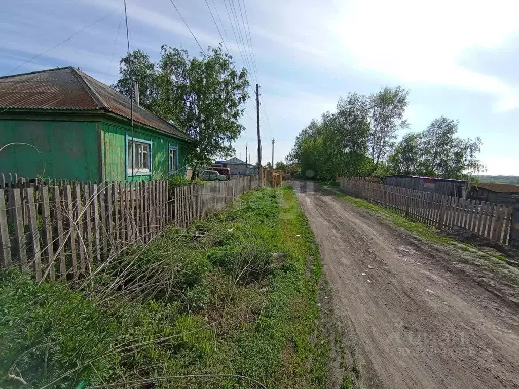 Участок в Алтайский край, Калманский район, с. Калманка ул. Ударцева, ... - Фото 2