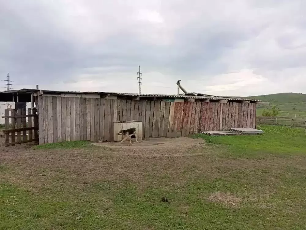 Участок в Самарская область, Октябрьск Светлая ул. (4200.0 сот.) - Фото 1