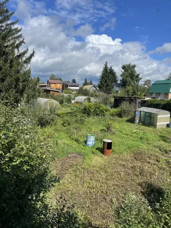 Дом в Омская область, Омск Ивушка СНТ, аллея 2-я (50 м) - Фото 1