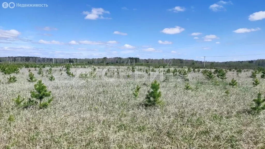 Участок в Тюменский район, деревня Елань (12.86 м) - Фото 1