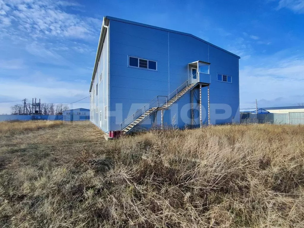 Помещение свободного назначения в Ростовская область, Аксайский район, ... - Фото 0