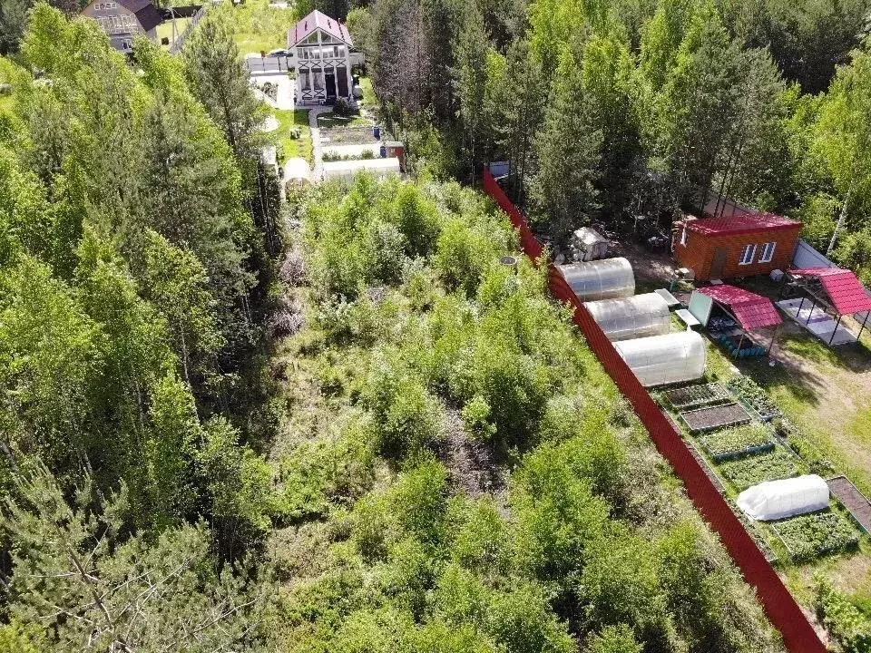 Участок в Московская область, Клин городской округ, Олимп СНТ  (8.0 ... - Фото 0