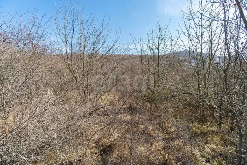 Участок в Севастополь с. Передовое, пер. Нагорный (4.85 сот.) - Фото 1