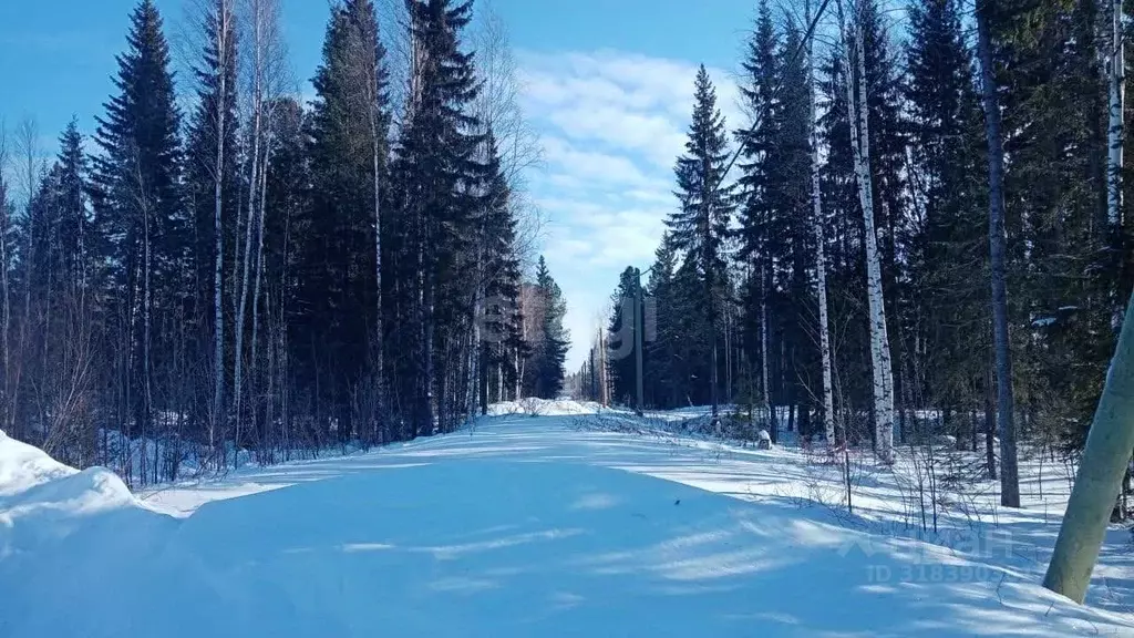 Участок в Ханты-Мансийский АО, Ханты-Мансийск Медик СОТ, 1 (10.0 сот.) - Фото 0