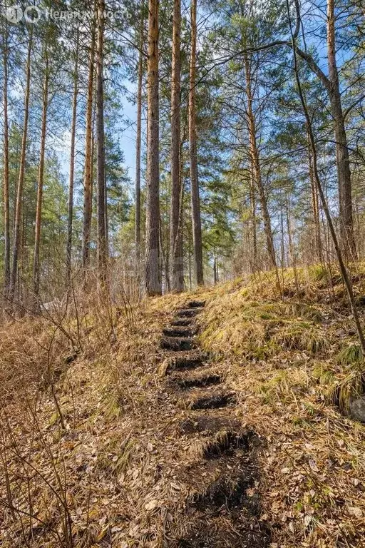 Участок в Майминский район, село Манжерок (300 м) - Фото 1
