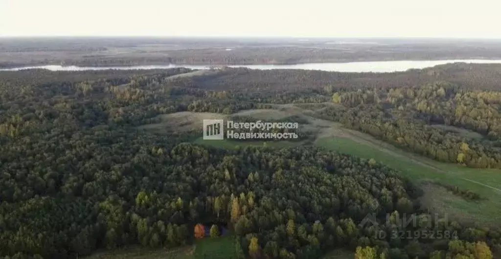 Участок в Ленинградская область, Лужский район, Осьминское с/пос, д. ... - Фото 1