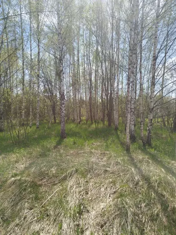 Участок в Московская область, Клин городской округ, д. Радованье  ... - Фото 2