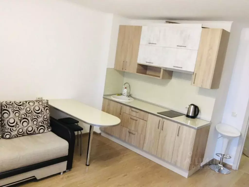 Студия Санкт-Петербург просп. Энергетиков, 11к2 (25.8 м) - Фото 1