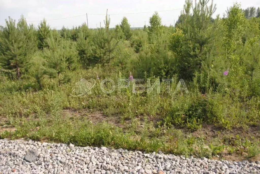 Участок в Тюменская область, Тюменский район, с. Кулига, Кулига-2 мкр  ... - Фото 1