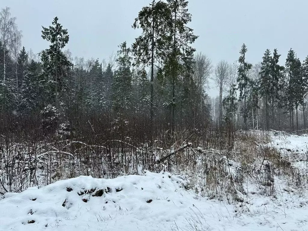 Участок в Московская область, Пушкинский городской округ, д. Могильцы  ... - Фото 0