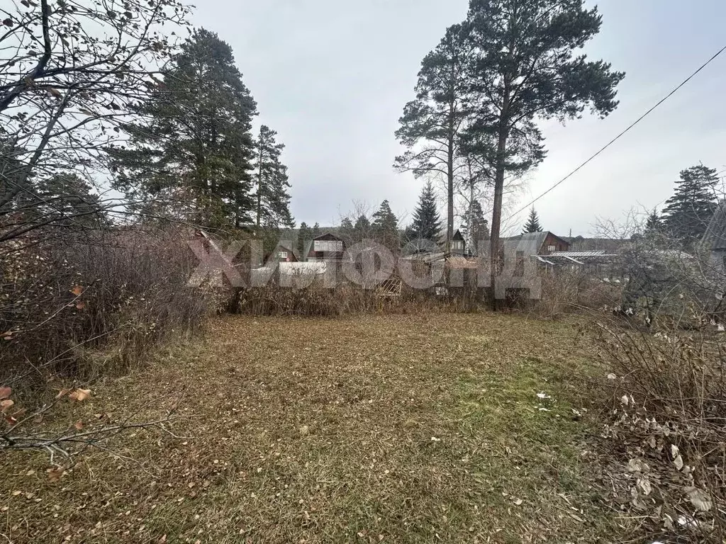 Участок в Иркутская область, Шелеховский район, пос. Большой Луг  (5.0 ... - Фото 1