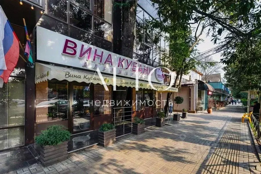 Помещение свободного назначения в Краснодарский край, Сочи ул. Ленина, ... - Фото 1