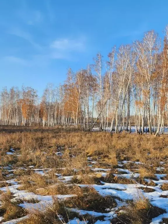 Участок в Челябинская область, Красноармейский район, Луговское с/пос, ... - Фото 0