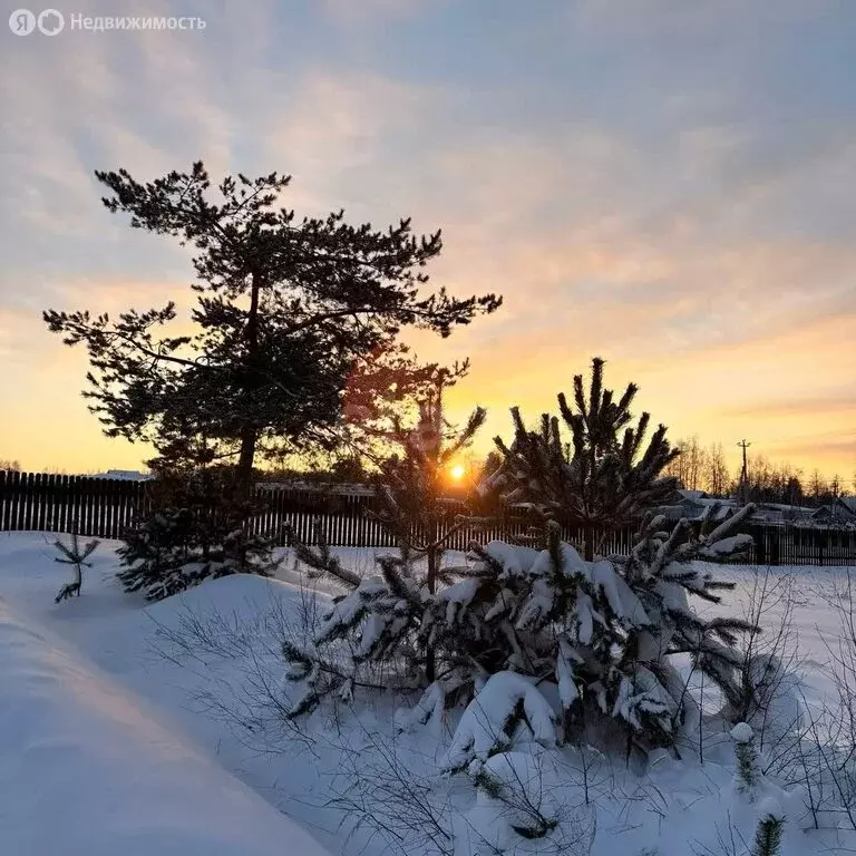 Участок в Тверская область, Конаковский муниципальный округ, СНТ ... - Фото 1