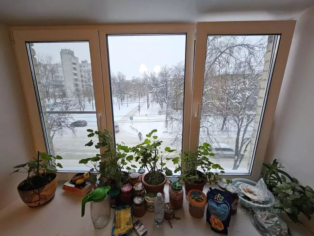 1-к кв. Калужская область, Обнинск просп. Ленина, 79 (18.0 м) - Фото 1