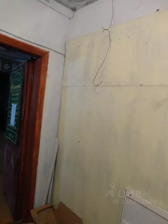 Помещение свободного назначения в Амурская область, с. Тамбовка ул. ... - Фото 1