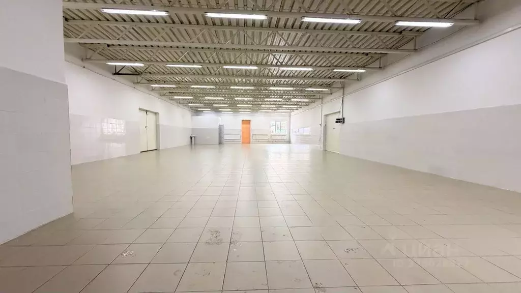 Помещение свободного назначения в Ярославская область, Ярославль ул. ... - Фото 1