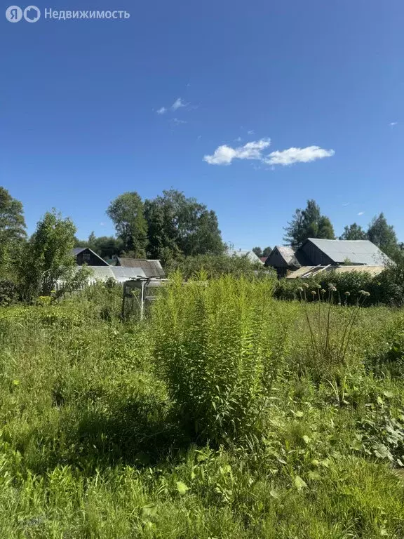 Дом в посёлок городского типа Мурыгино, улица Чапаева, 14 (43.8 м) - Фото 2