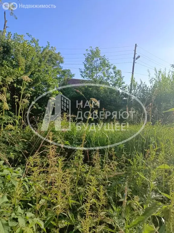 Участок в Лямино, улица Калинина, 41 (11 м) - Фото 1