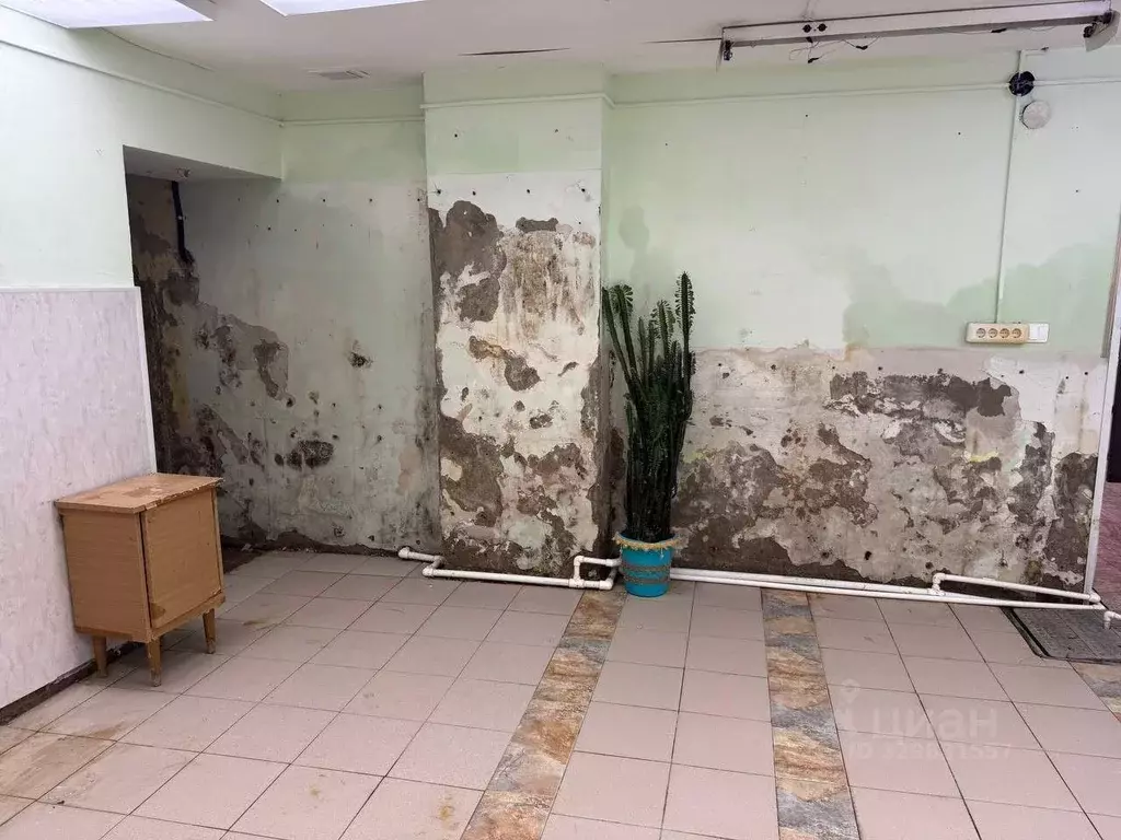 Помещение свободного назначения в Тюменская область, Ишим ул. Ленина, ... - Фото 2