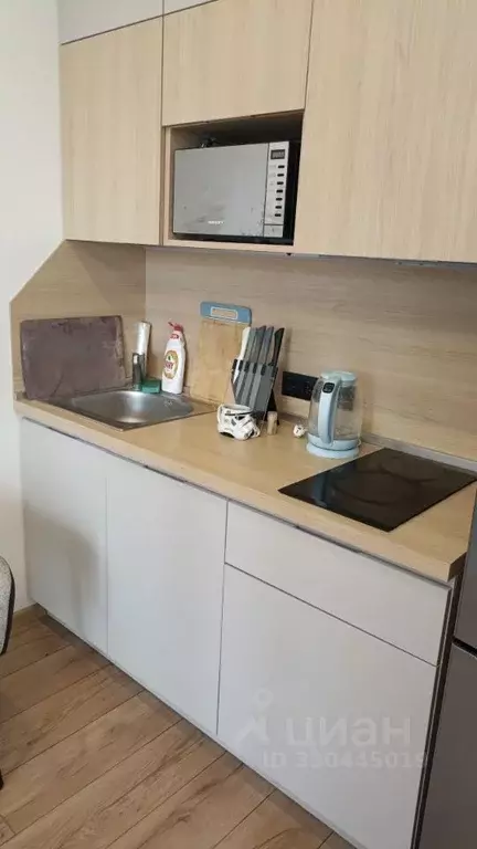 Студия Московская область, Мытищи городской округ, д. Пирогово ул. ... - Фото 1